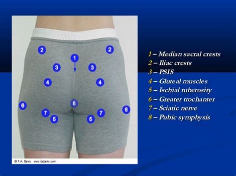 Fiu thoracic and lumbar spine clinical evaluation