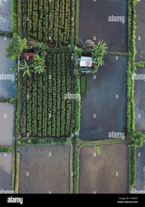 Aerial view of farm Stock Photo - Alamy