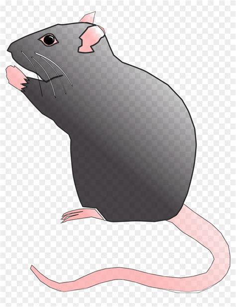 Download Clipart Rat Cute Rat - Cute Rat Clipart - Png Download Png Download - PikPng