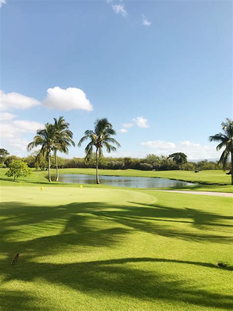 Puerto Rico's Best Golf Courses: A Guide to The Ultimate Golf Experience