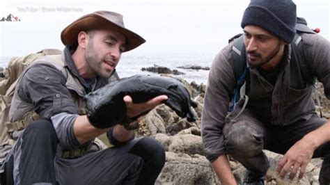 World's biggest slug shown on video at California coast | Metro News