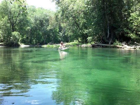 Ocklawaha River | Kayaking, River, Canal