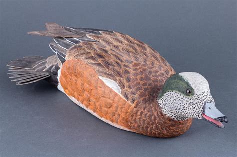 Lot - A carved Widgeon decoy, 17 x 5 1/2 in. (43.2 x 14 cm)