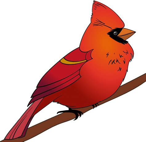 Cardinal Clipart Transparent Image - ClipartLib