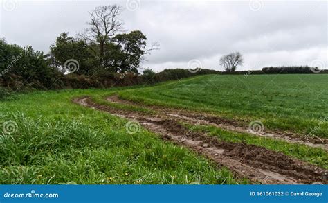 Dull damp autumn morning stock photo. Image of field - 161061032