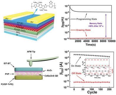 Complementary of Ferroelectric and Floating Gate Structure for High ...