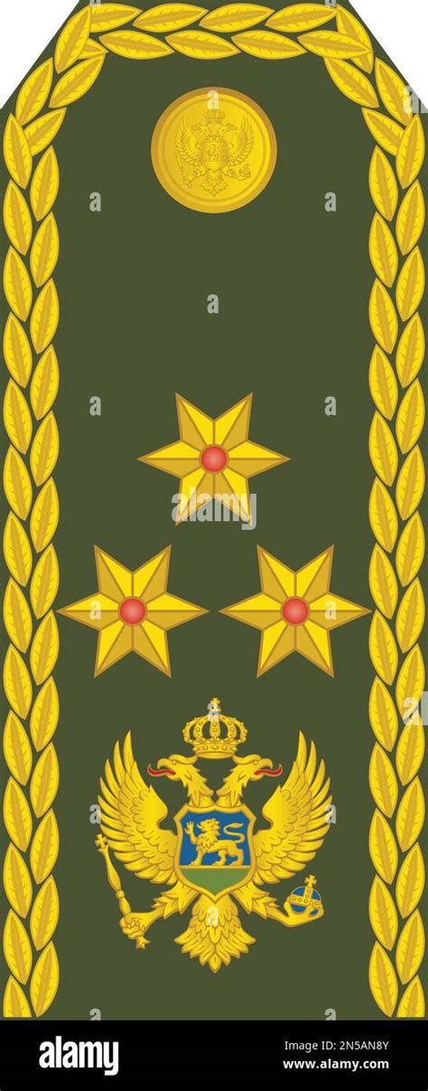 Shoulder pad military officer insignia of the Montenegrin GENERAL ...