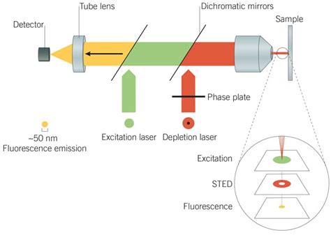 Janelia Fluor® Dyes for Super Resolution Microscopy | Bio-Techne