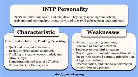 INTP Personality Type: The Logician