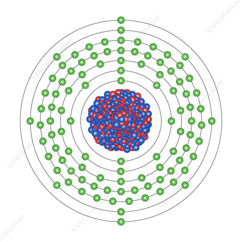 Mendelevium, atomic structure - Stock Image - C013/1844 - Science Photo Library