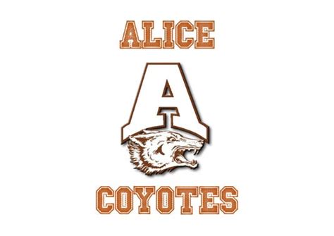 Alice High School placed on lockdown during investigation