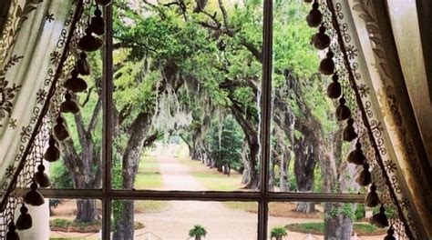 Rosedown Plantation State Historic Site in St. Francisville - Tours and Activities | Expedia