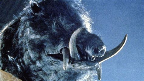 Razorback’ watched by Celeste de la Cabra • Letterboxd