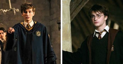 Are Newt Scamander & Harry Potter Related? 'Fantastic Beasts' Fans Have ...