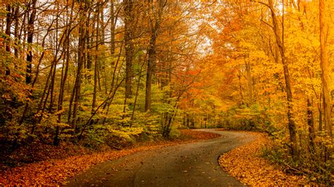 15 Best Places To Experience Fall In Indiana - Midwest Explored