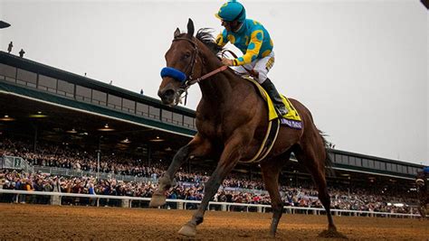 Beholder arrived at Keeneland on Oct. 19 ahead of her Breeders' Cup Classic bid. (Photos by ...