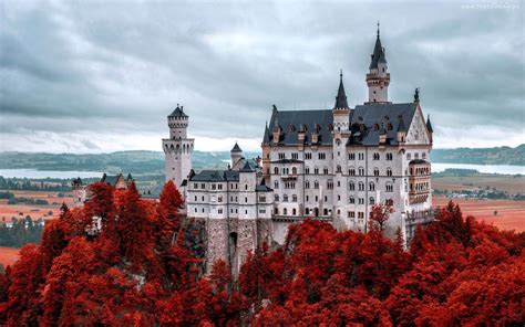 Zamek, Bawaria, Drzewa | Neuschwanstein castle, Germany castles ...