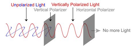 Cross Polarization: What It Is and Why It Matters | PetaPixel