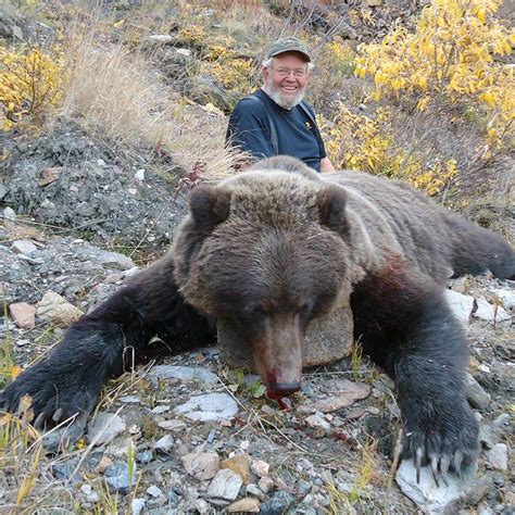 Grizzly Bear Hunting in Alaska – Midnight Sun Safaris