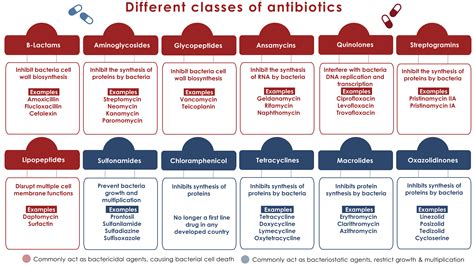 How do antibiotics work? – Antibiotics – ReAct