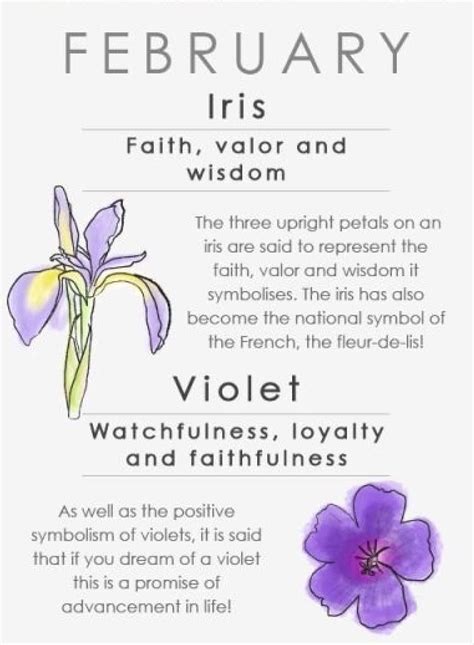 What Does Your Birth Flower Say About Your Personality? - Women | Ngôn ngữ của các loài hoa ...