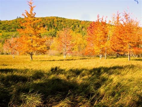 Autumn Colors in Maine - The Martha Stewart Blog