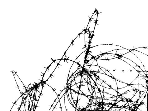 Free Images : branch, black and white, wire, monochrome, barbwire, artwork, drawing, protection ...