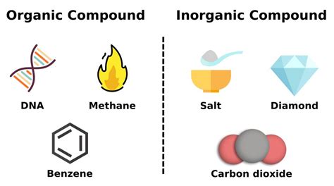 Organic & Inorganic Chemistry | The Difference Between Both