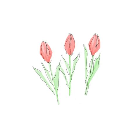 Tulip GIFs - Find & Share on GIPHY