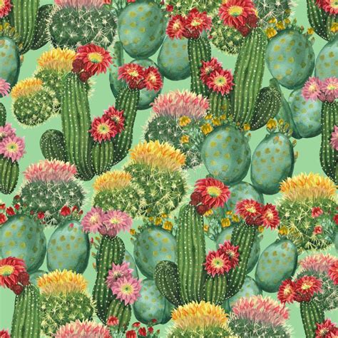 Watercolor Cactus Background Stock Illustration - Illustration of ...