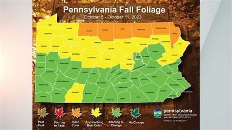 Poconos Fall Foliage 2024 - Dedra Evaleen