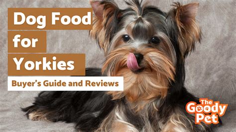 7 Best Dog Food For Yorkies (January 2020) | The Goody Pet