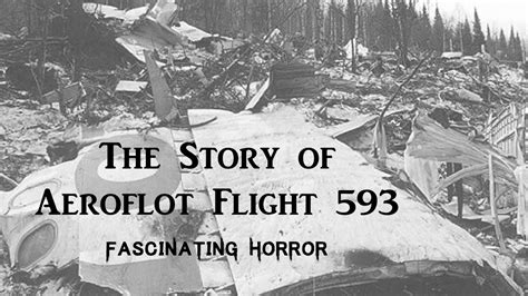 The Story of Aeroflot Flight 593 | A Short Documentary | Fascinating Horror - YouTube