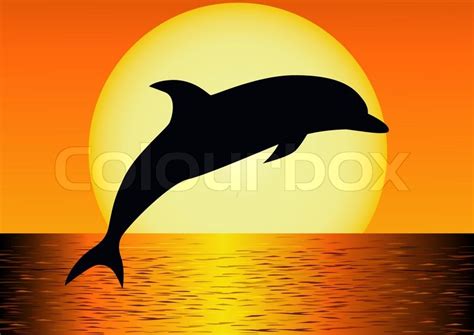 Dolphin silhouette | Stock vector | Colourbox