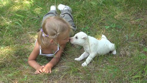 child kissing her puppy playing little Stock Footage Video (100% ...