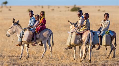 Chad Wildlife, Culture & Conservation Safari | GeoEx