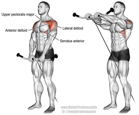 17 Best images about Shoulder Exercises on Pinterest | Cable, Compound ...