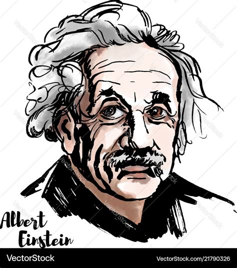 Albert einstein Royalty Free Vector Image - VectorStock