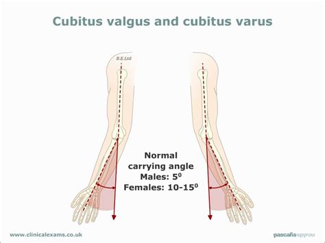 Pin by VIDS TUBE on My Saves in 2021 | Medical facts, Physiotherapy ...