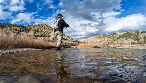 Colorado Fly Fishing — Best Spots & Tips - Cast and Spear