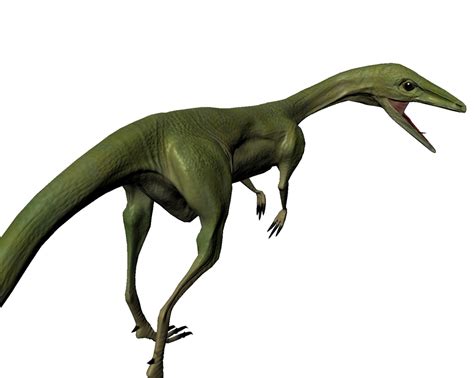 compsognathus compy dinosaur 3d model