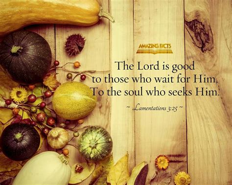 Lamentations 3:25 | Lamentations, Scripture pictures, Fun facts