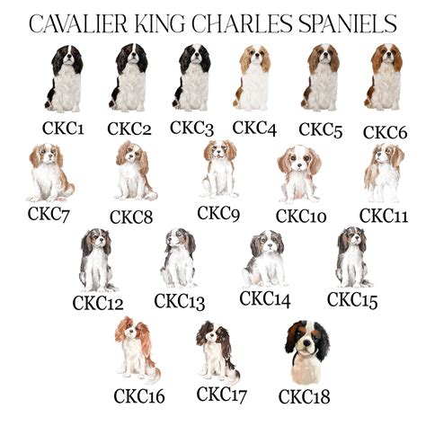 Cavalier King Charles Spaniel Dog Portrait Ideal Christmas | Etsy
