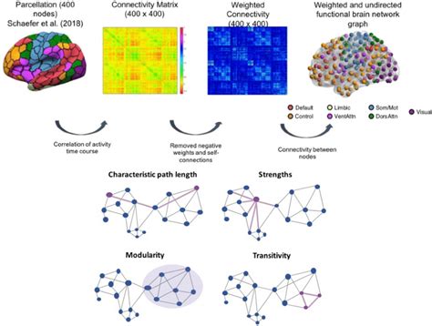 Schematic representation of brain network construction using graph ...