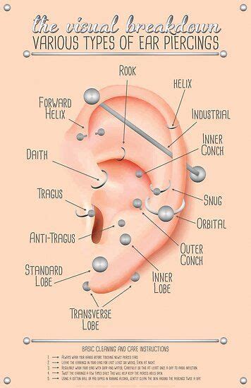 the various types of ear piercings are shown in this diagram, and there is also an