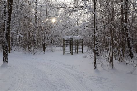 1024px-Saue,_Harju_County,_Estonia_-_panoramio_(22) - Adventure Herald