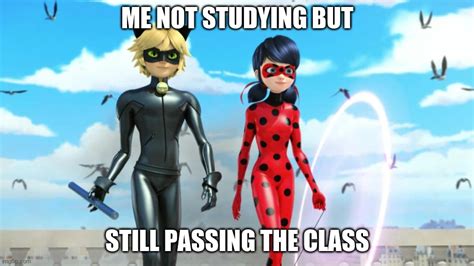 Miraculous Ladybug and Cat Noir (Chat Noir) - Imgflip