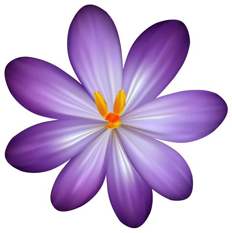 Crocus clipart 20 free Cliparts | Download images on Clipground 2024