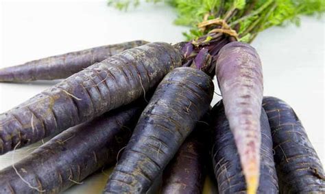 Conoce el origen y cómo se cultiva la zanahoria morada