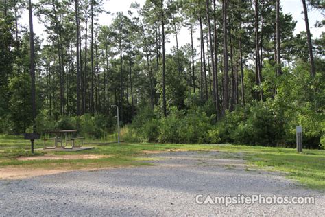 Bogue Chitto State Park - Campsite Photos, Info & Reservations